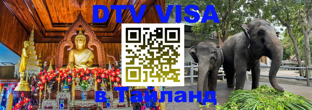 Оформление DTV визы под ключ: стоимость и тарифы, только загранпаспорт - Обнинск 